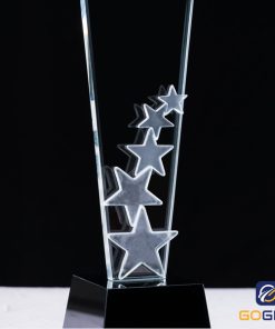 Cúp vinh danh sự kiện PLM13