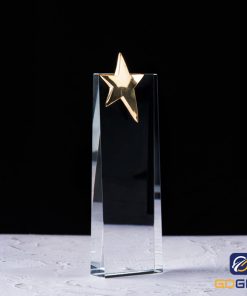 Cúp pha lê vinh danh cán bộ nhân viên xuất sắc