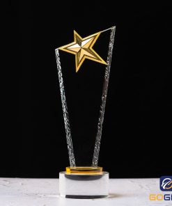 Cúp pha lê ngôi sao PLM9