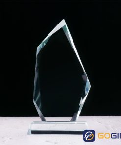 Kỷ niệm chương PI15