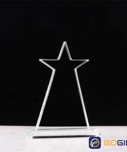 Kỷ niệm chương PI9