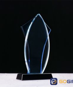 Kỷ niệm chương PLG10