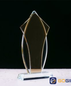 Kỷ niệm chương PLG10-V