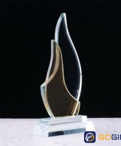 Kỷ niệm chương PLG2-V