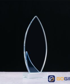 Kỷ niệm chương PLG3