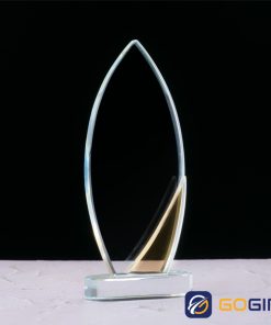 Kỷ niệm chương PLG3-V