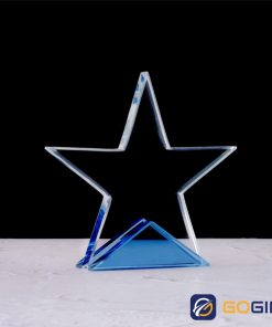 Kỷ niệm chương PLG4 với tạo hình ngôi sao 5 cánh hài hoà