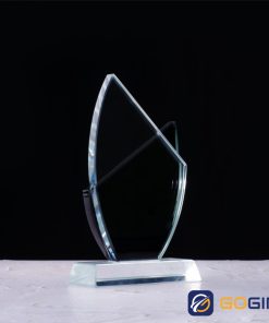 Kỷ niệm chương PLG9-D