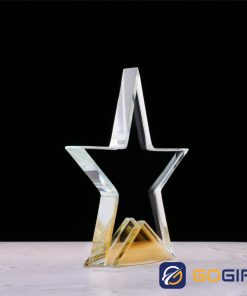 Kỷ niệm chương pha lê PLG4-V