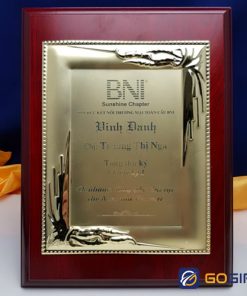 Bảng vinh danh BVD08