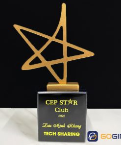 Cúp chế tác riêng CTR5