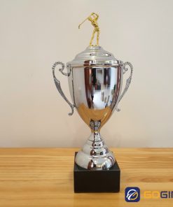 Cúp golf kim loại G14