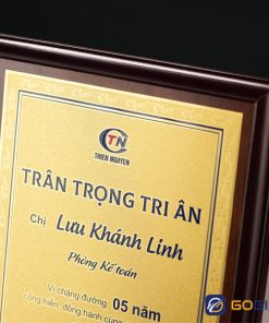 Bảng vinh danh BVD14