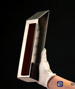 Cúp thiết kế riêng sang trọng CTR9