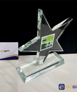 Kỷ niệm chương ngôi sao PI17