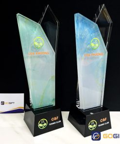 Kỷ niệm chương PI20