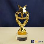Kỷ niệm chương mạ vàng có vẻ đẹp sang trọng và tinh tế