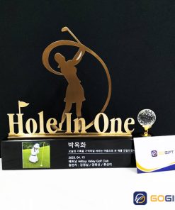 Cúp golf độc quyền CTR13