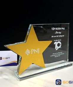 Cúp làm theo yêu cầu CTR11