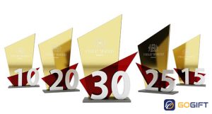Kinh nghiệm chọn mua kỷ niệm chương họp lớp phù hợp
