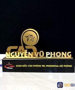 Cúp chế tác riêng CTR20