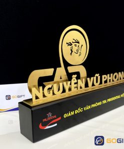 Cúp chế tác riêng mạ vàng CTR19