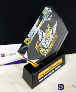 Kỷ niệm chương pha vinh danh PI24