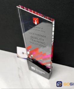 Cúp kỷ niệm trường đại học PI25