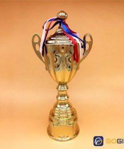Cúp bóng đá kim loại S1