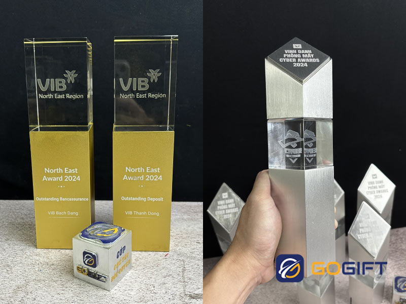 cúp pha lê 3D 7