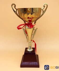 Cúp kim loại bóng đá S04