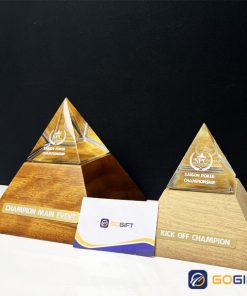 Cúp chế tác màu vân gỗ, tự nhiên CTR27