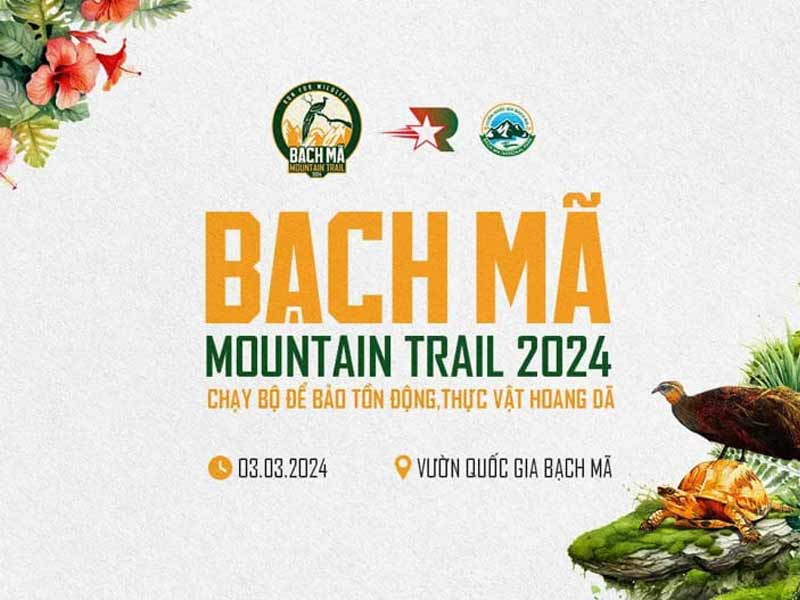 Giải chạy Marathon 2024 - Bach Ma Mountain Trail