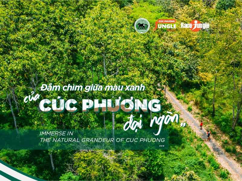 Giải chạy bộ Marathon 2024 - Cuc Phuong Jungle Paths