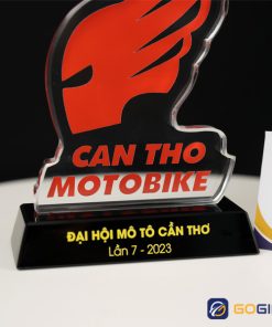 kỷ niệm chương hình cánh đỏ PI36