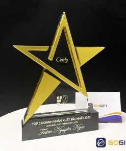 Cúp chế tác riêng pha lê kim loại CTr45