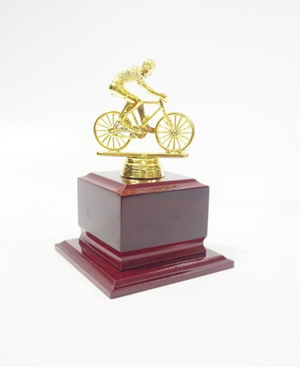 Cúp giải xe đạp có thể tạo ra sự cạnh tranh lành mạnh