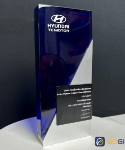 Cúp thiết kế theo yêu cầu CTR59