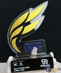 Cúp chế tác theo yêu cầu riêng CTR53