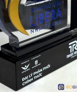 Cúp thiết kế theo yêu cầu CTR53