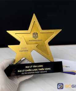 Cúp thiết kế theo yêu cầu CTR55