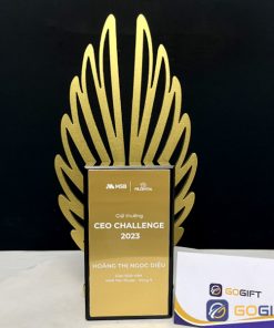 Cúp chế tác theo yêu cầu CTR56