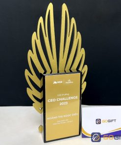 Cúp thiết kế theo yêu cầu CTR56