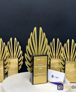 Cúp độc quyền CTR56