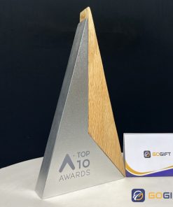 Cúp thiết kế theo yêu cầu CTR07