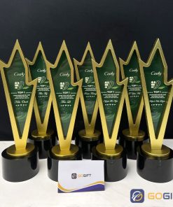 Cúp thiết kế riêng theo yêu cầu Cenly CTR62