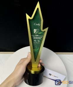 Cúp thiết kế theo yêu cầu Cenly CTR62