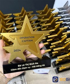 Cúp chế tác theo yêu cầu CTR55 4