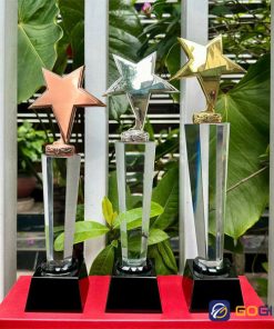 Cúp vinh danh nhân viên xuất sắc ngôi sao kim loại 1