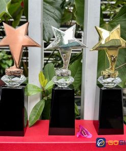 Cúp vinh danh nhân viên xuất sắc ngôi sao kim loại 2